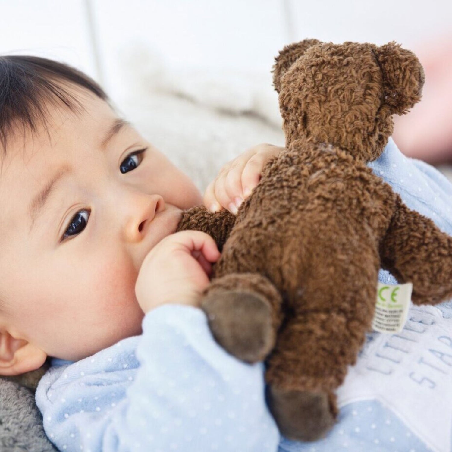 Mini teddybjørn - økologisk bomull