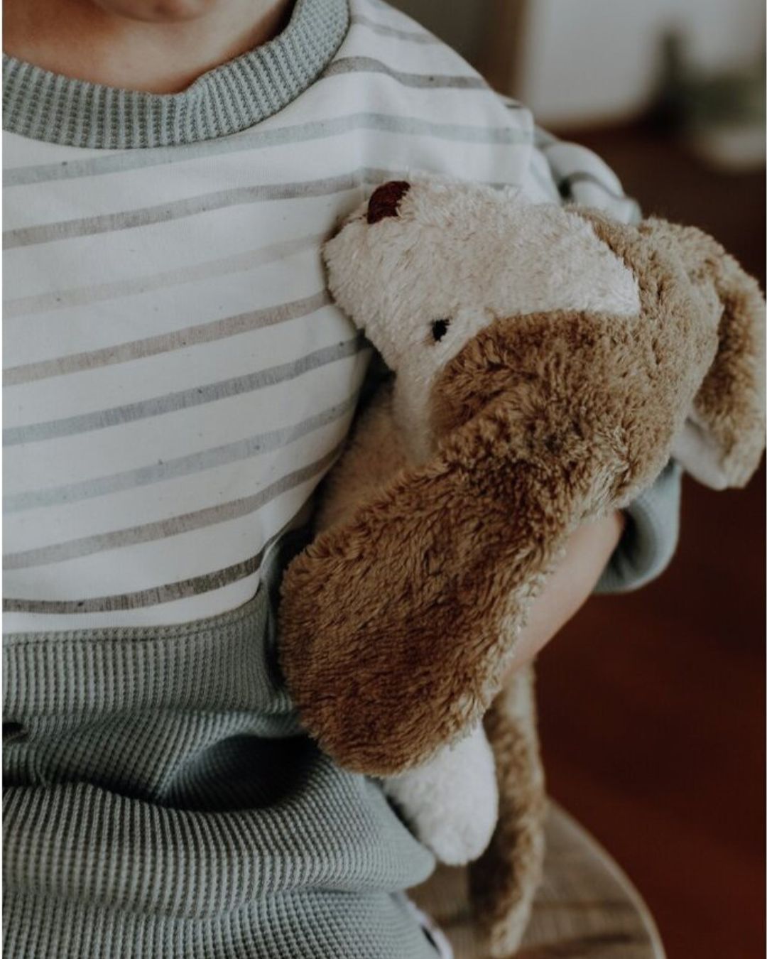 Kosebamse hund - økologisk bomull